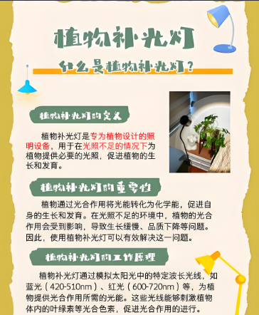 植物灯管的作用.png