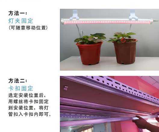 植物灯管使用方法.png
